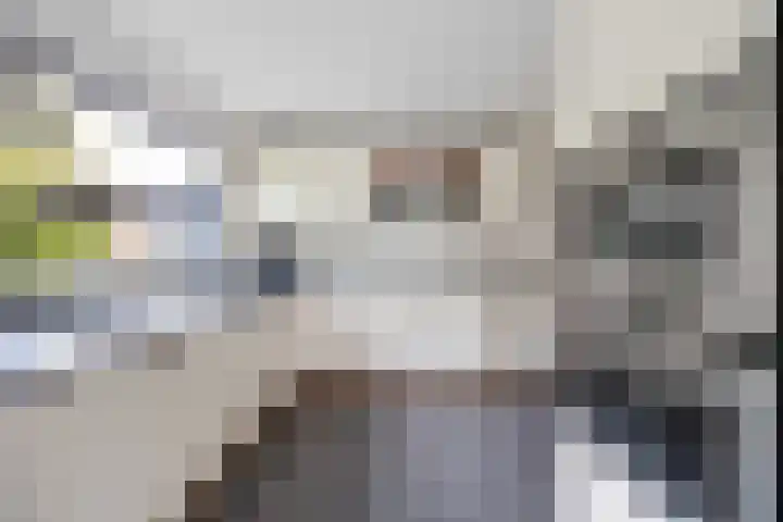 Hoogstuk 78 Druten thumbnail 8