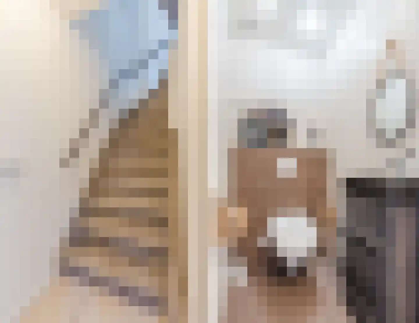 Hoogt 11 Goirle thumbnail 12
