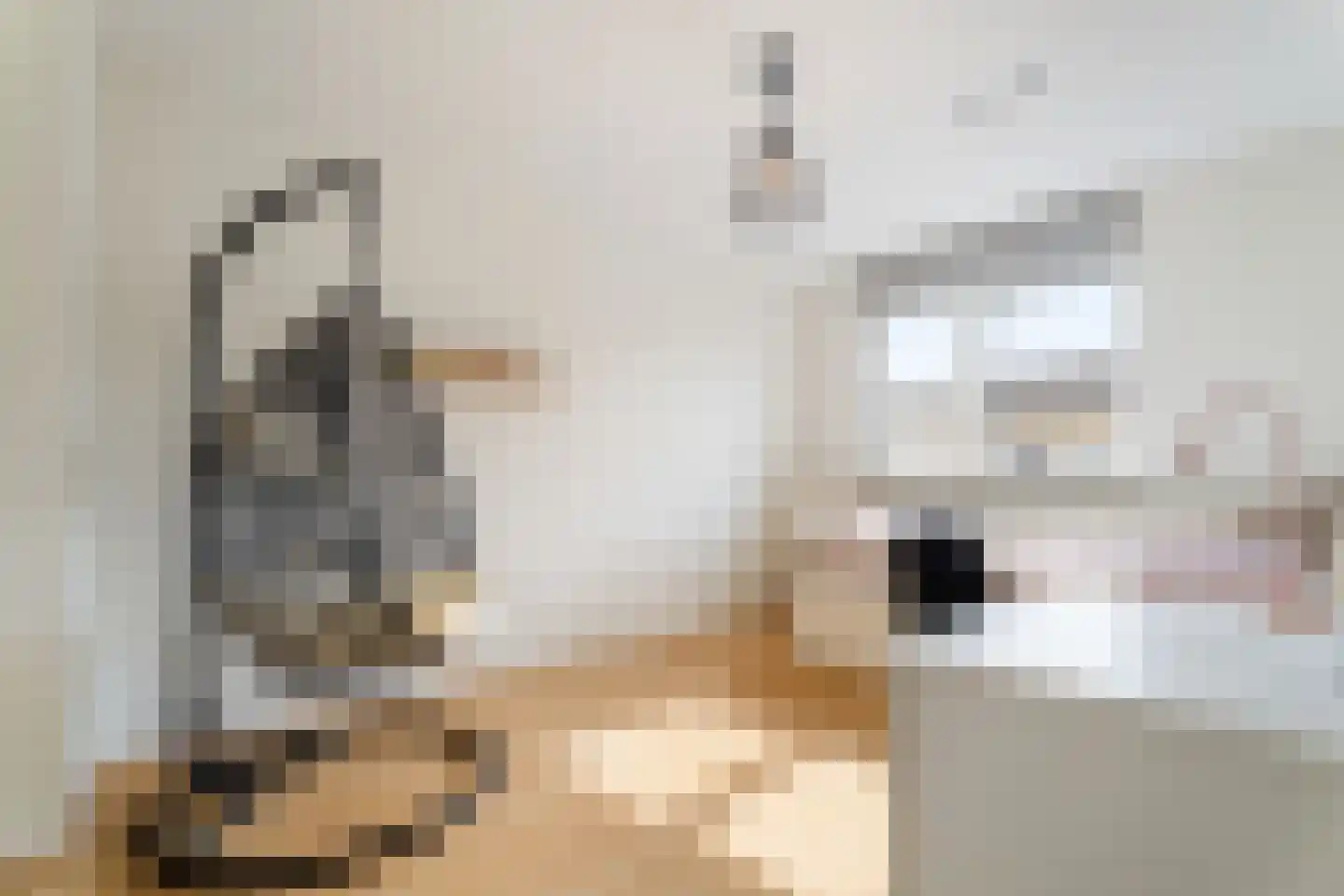 Hoogt 15 Goirle thumbnail 17