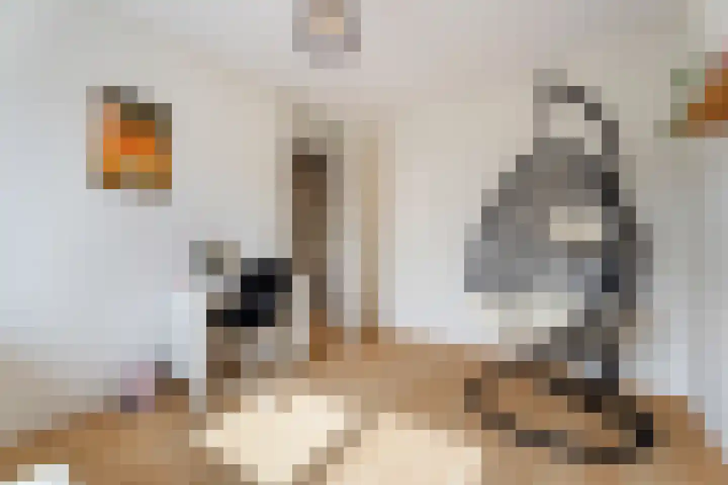 Hoogt 15 Goirle thumbnail 18