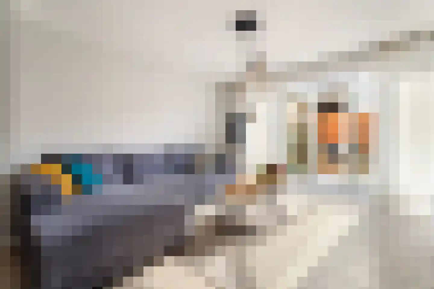 Hoogt 15 Goirle thumbnail 4