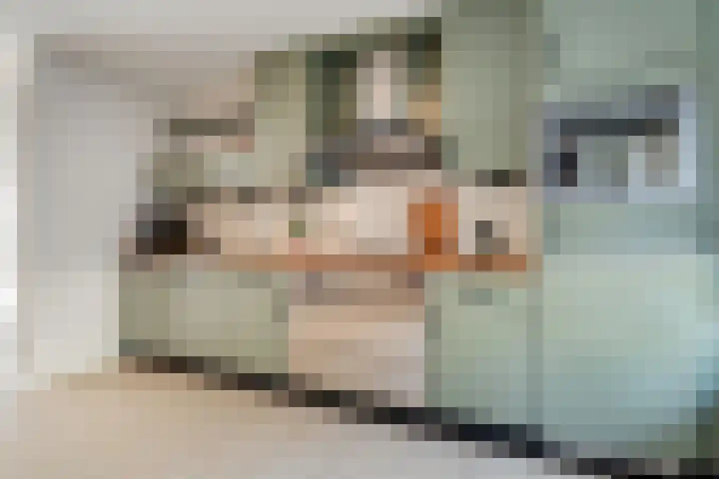 Hoogt 15 Goirle thumbnail 9