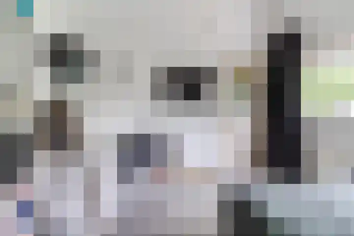 Hoogt 36 Goirle thumbnail 19