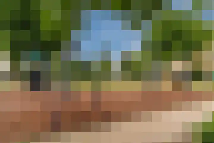 Hoogt 36 Goirle thumbnail 30