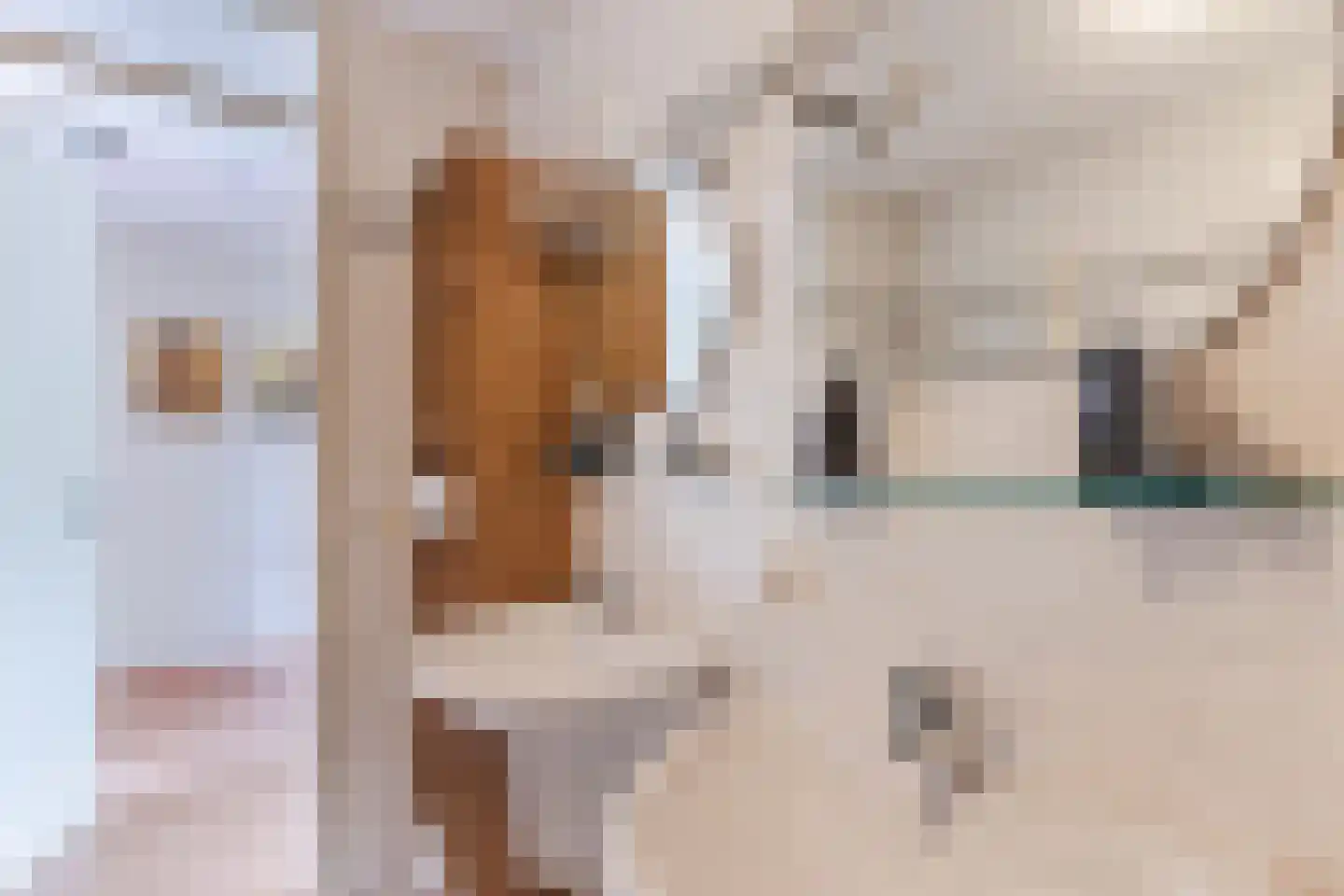 Hoogt 38 Goirle thumbnail 21