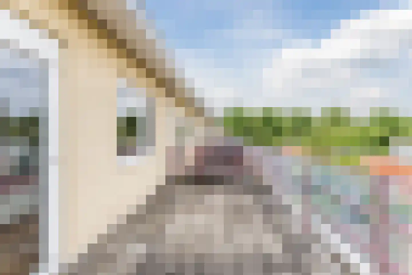 Hoogt 38 Goirle thumbnail 29