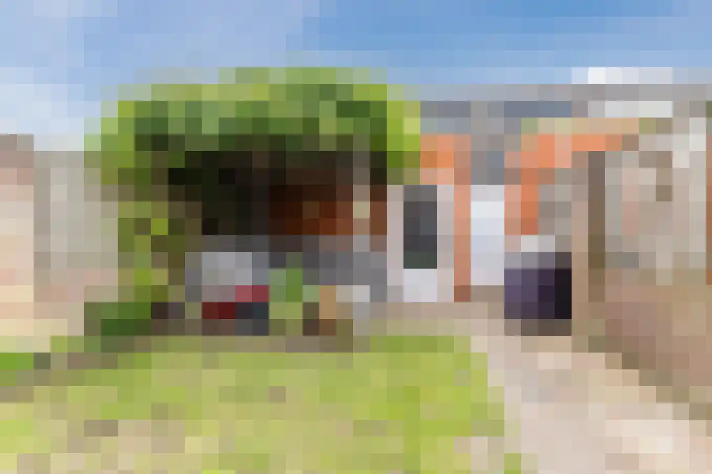 Hoogt 38 Goirle thumbnail 31