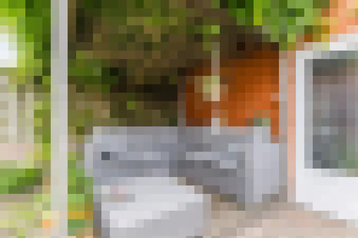 Hoogt 38 Goirle thumbnail 32