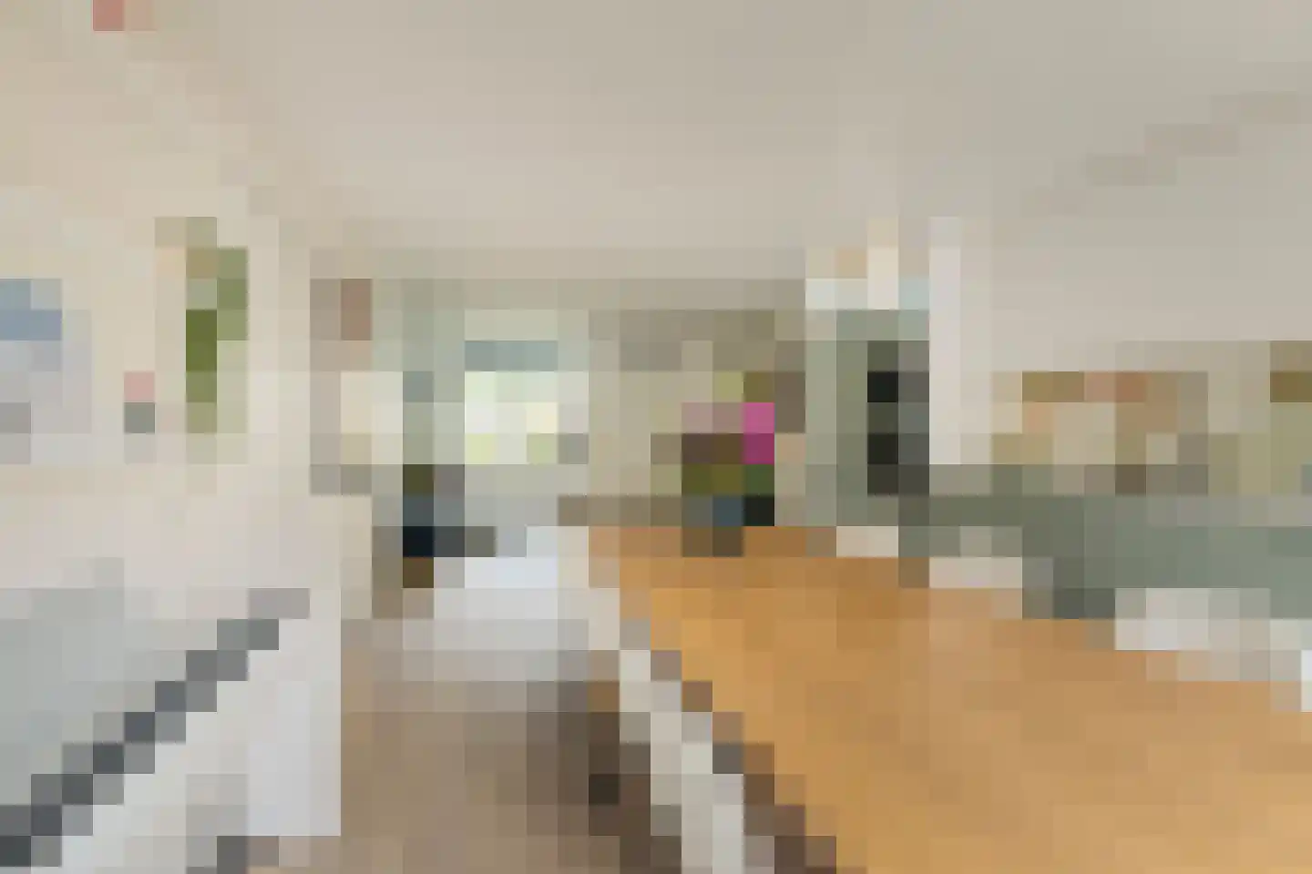 Hoogt 44 Goirle thumbnail 11