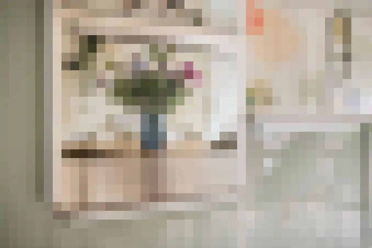 Hoogt 44 Goirle thumbnail 16