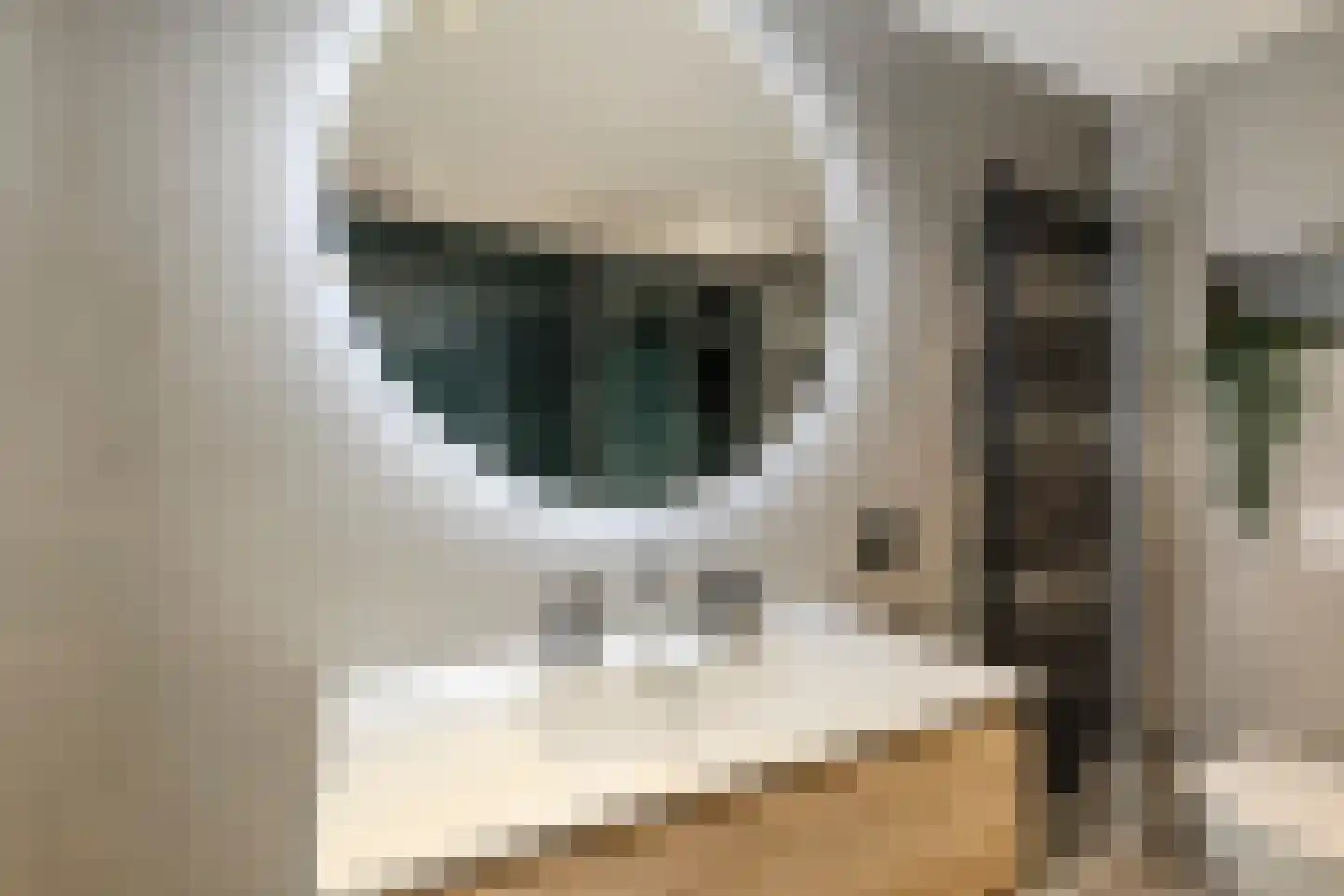 Hoogt 44 Goirle thumbnail 25