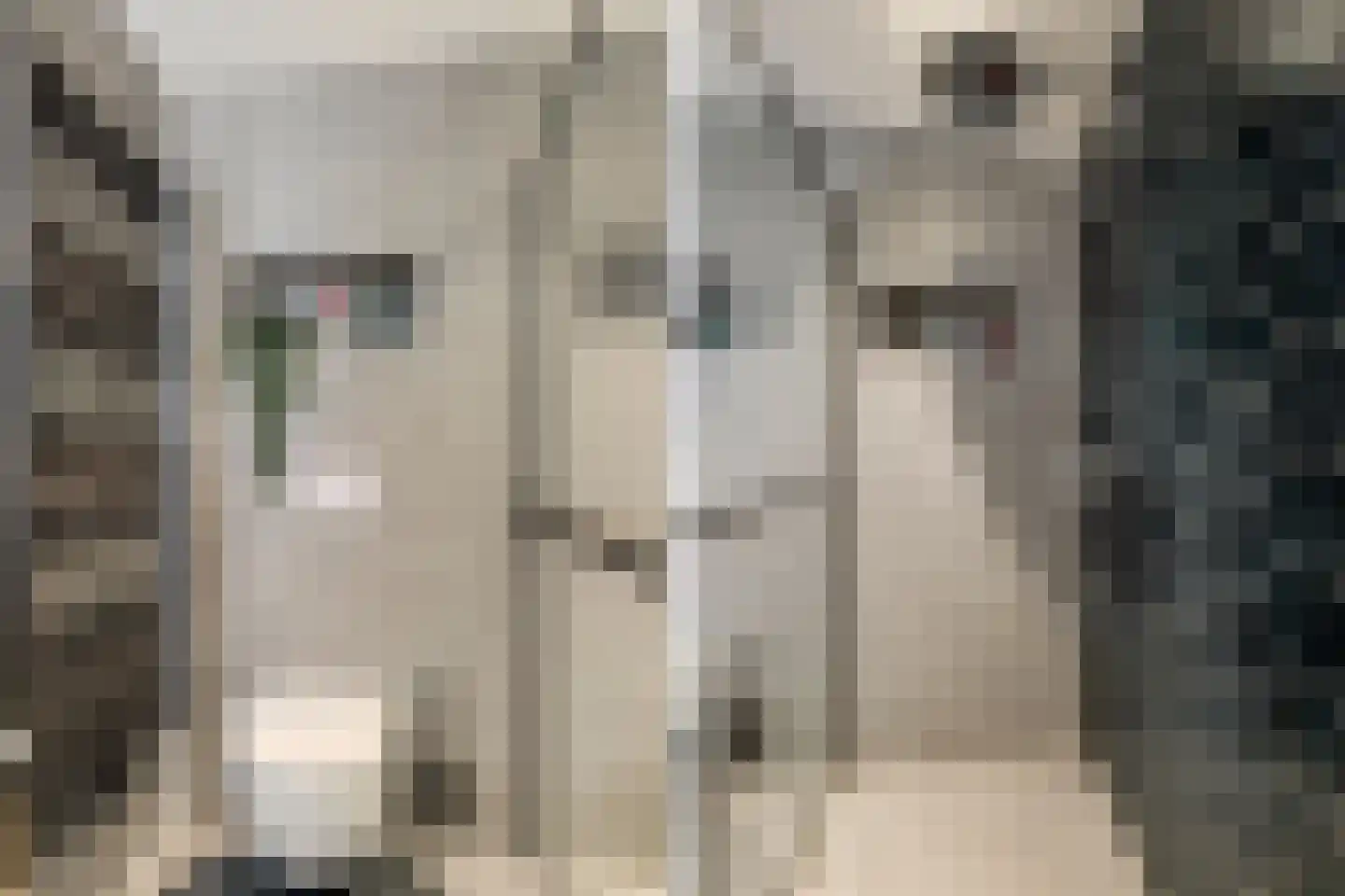 Hoogt 44 Goirle thumbnail 26