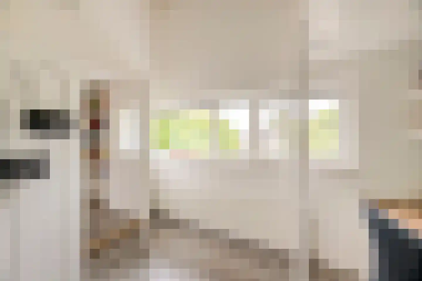 Hoogt 44 Goirle thumbnail 30