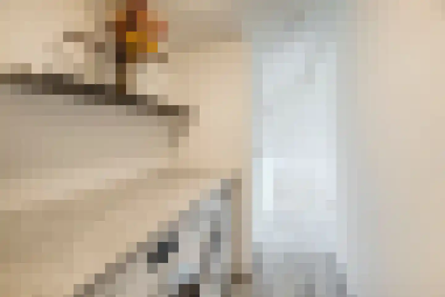 Hoogt 44 Goirle thumbnail 34