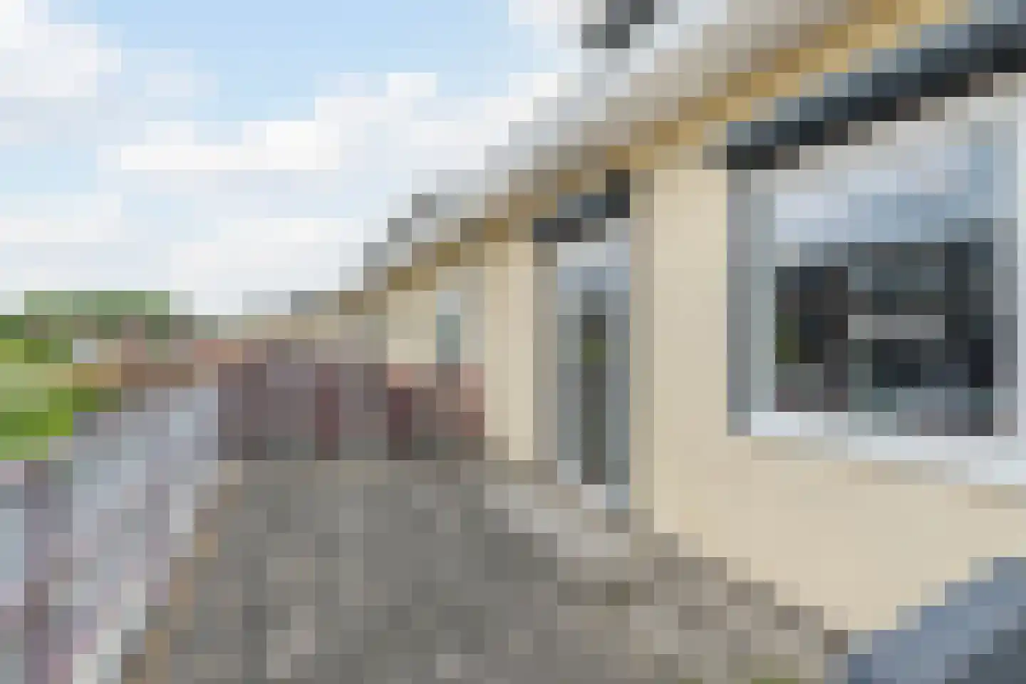 Hoogt 44 Goirle thumbnail 36