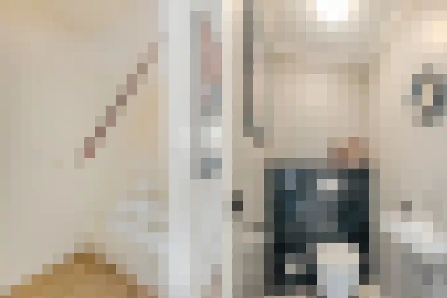 Hoogt 44 Goirle thumbnail 5