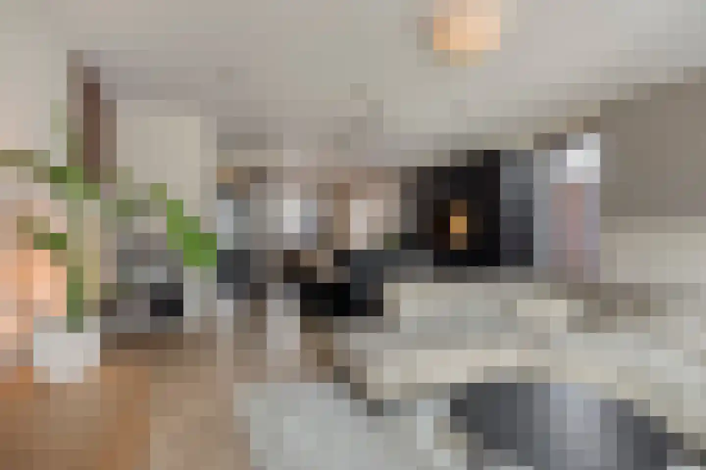 Hoogte 13 Eindhoven thumbnail 23