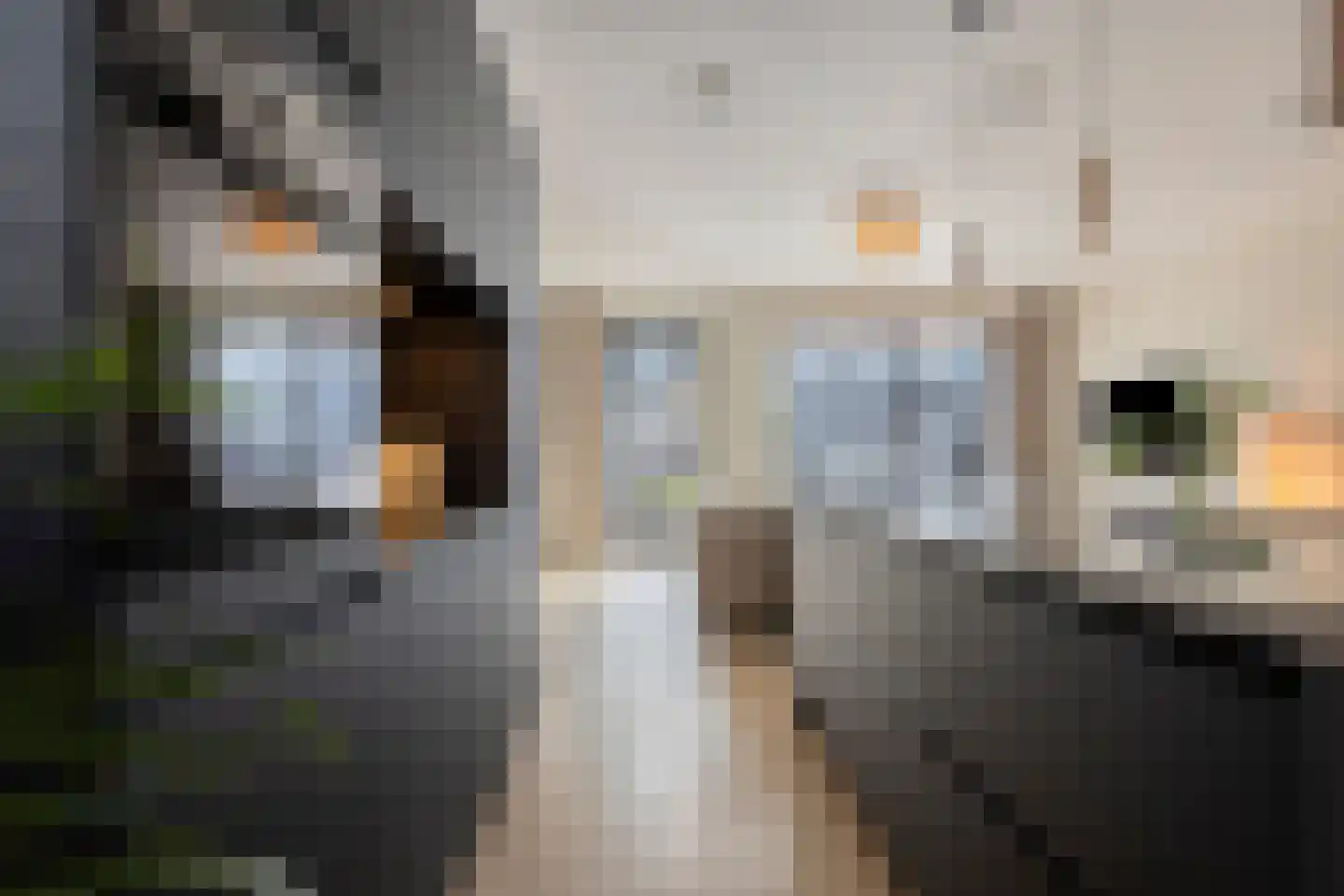 Hoogte 13 Eindhoven thumbnail 30