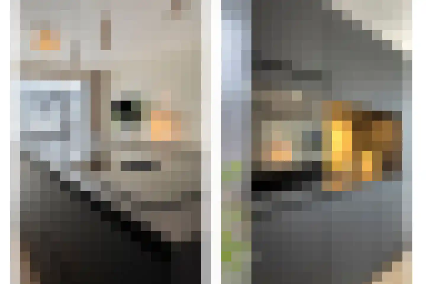 Hoogte 13 Eindhoven thumbnail 31