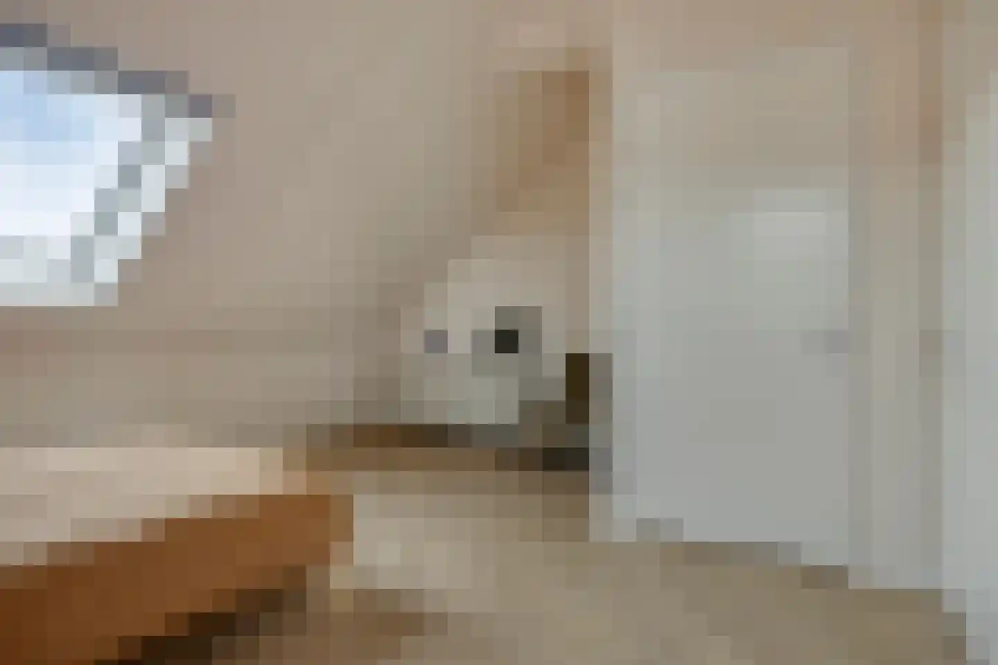 Hoogte 13 Eindhoven thumbnail 52