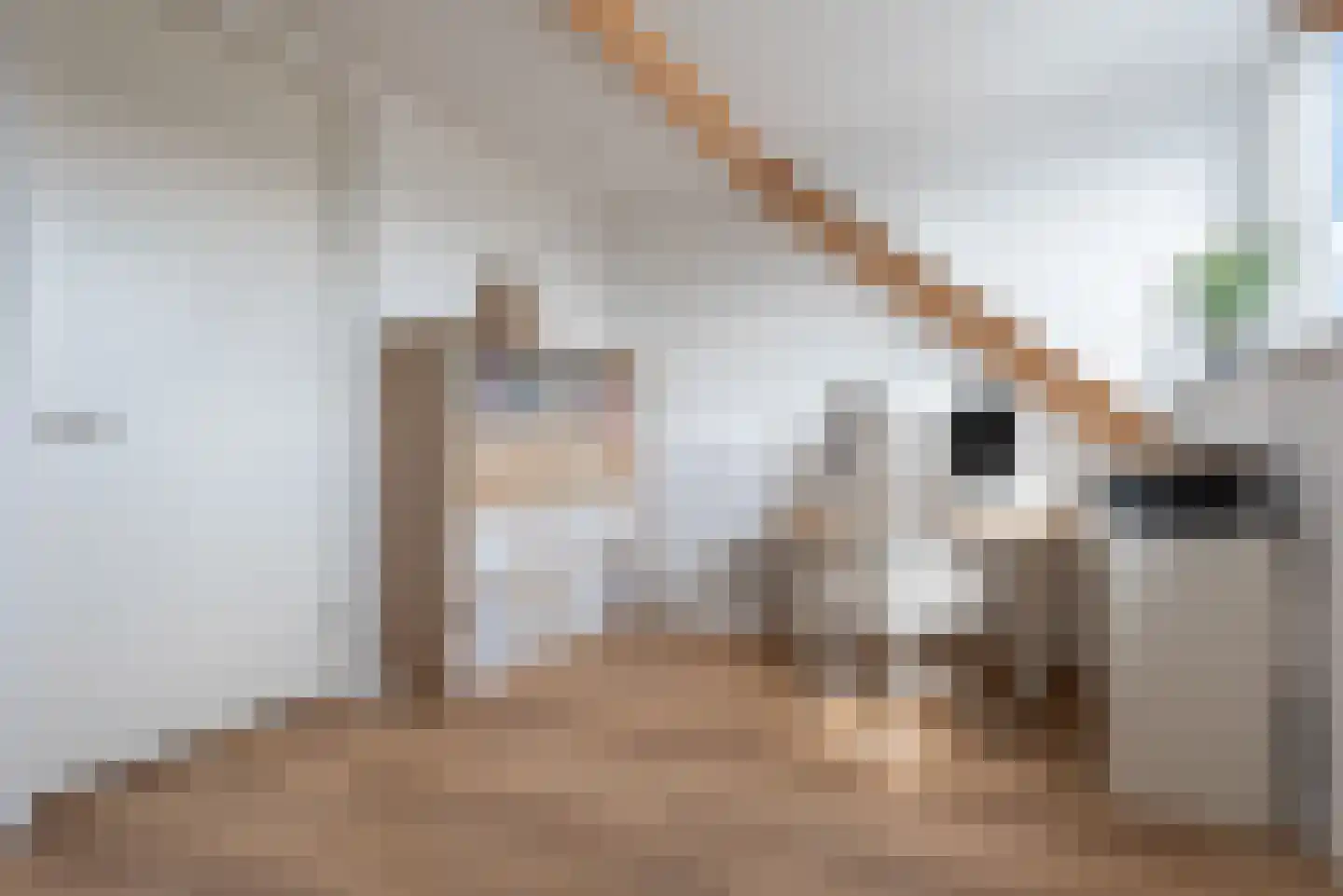 Hoogte 3 Eindhoven thumbnail 43