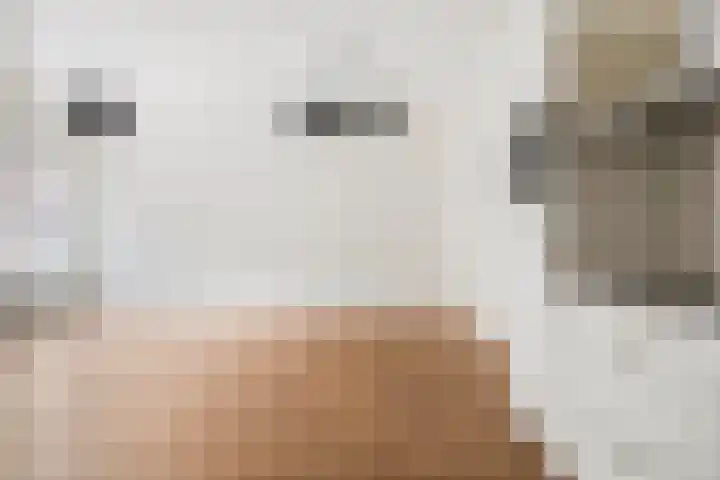 Hoogte 4 Nieuw-Vossemeer thumbnail 10