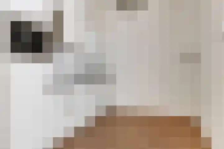Hoogte 4 Nieuw-Vossemeer thumbnail 12