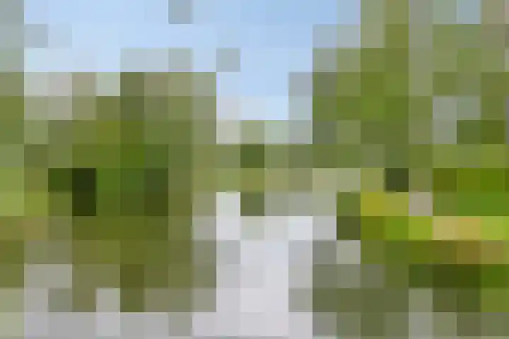 Hoogte 4 Nieuw-Vossemeer thumbnail 27