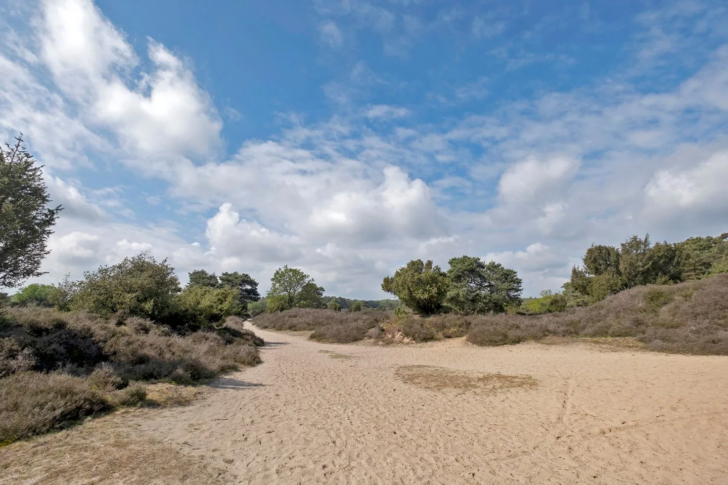 Hoogte der Heide 10 2 Gasselte thumbnail 48