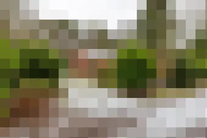 Hoogte der Heide 10 5 Gasselte thumbnail 10