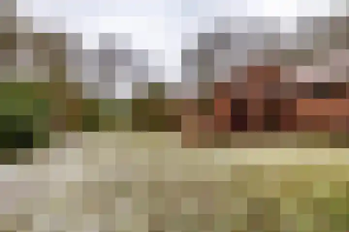 Hoogte der Heide 10 5 Gasselte thumbnail 11