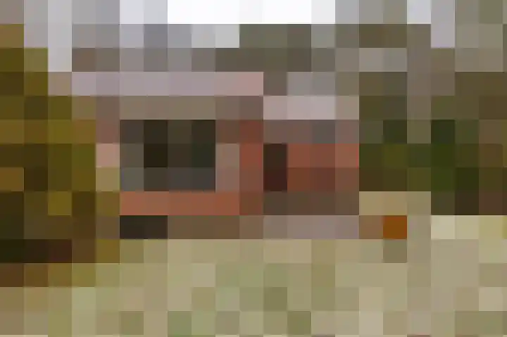 Hoogte der Heide 10 5 Gasselte thumbnail 12