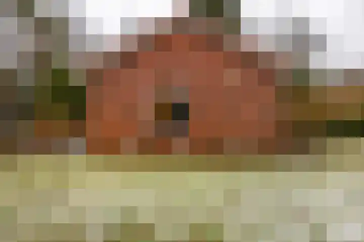 Hoogte der Heide 10 5 Gasselte thumbnail 13