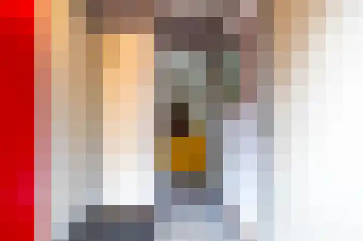 Hoogte der Heide 10 5 Gasselte thumbnail 16