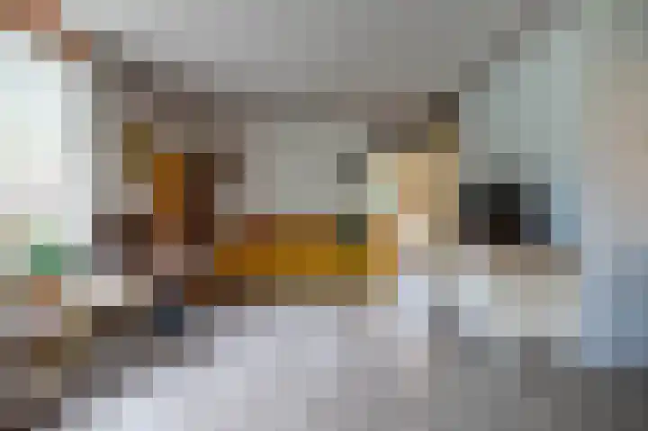 Hoogte der Heide 10 5 Gasselte thumbnail 24