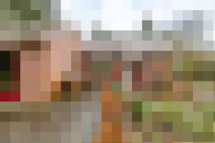 Hoogte der Heide 10 5 Gasselte thumbnail 47