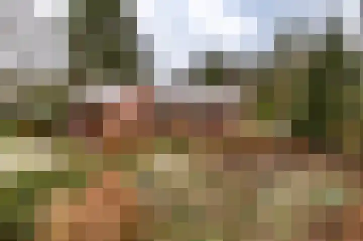 Hoogte der Heide 10 5 Gasselte thumbnail 48