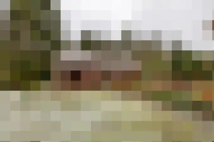 Hoogte der Heide 10 5 Gasselte thumbnail 49