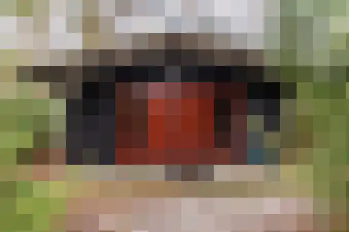 Hoogte der Heide 10 5 Gasselte thumbnail 50