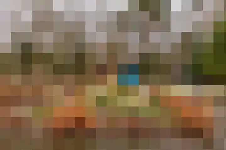 Hoogte der Heide 10 5 Gasselte thumbnail 51