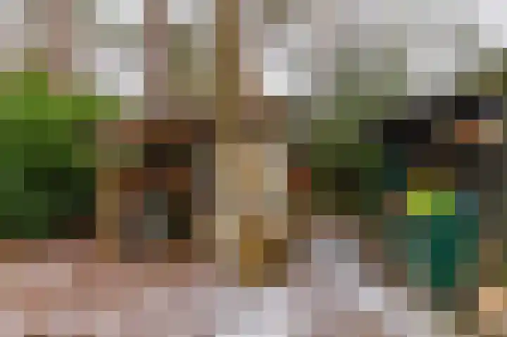 Hoogte der Heide 10 5 Gasselte thumbnail 54