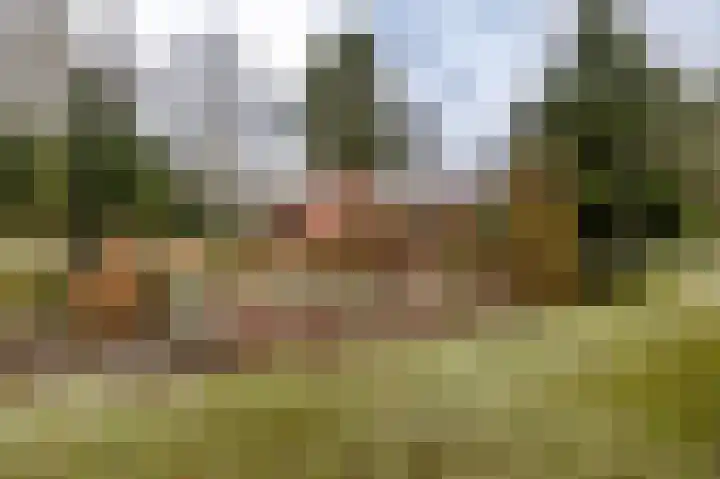 Hoogte der Heide 10 5 Gasselte thumbnail 55