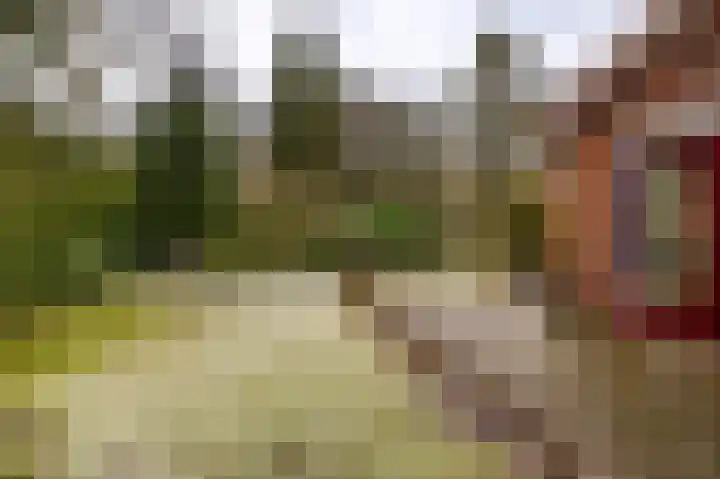 Hoogte der Heide 10 5 Gasselte thumbnail 56