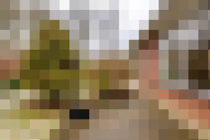 Hoogte der Heide 10 5 Gasselte thumbnail 57