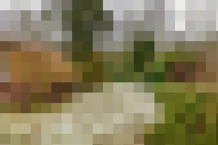 Hoogte der Heide 10 5 Gasselte thumbnail 58