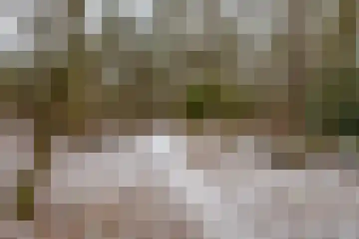 Hoogte der Heide 10 5 Gasselte thumbnail 59