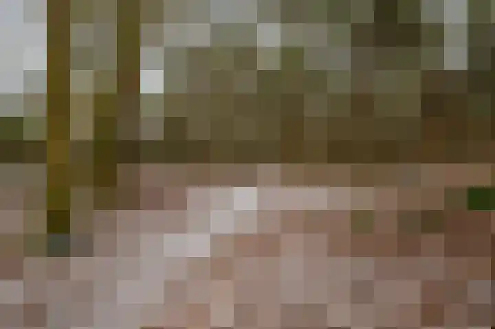 Hoogte der Heide 10 5 Gasselte thumbnail 60
