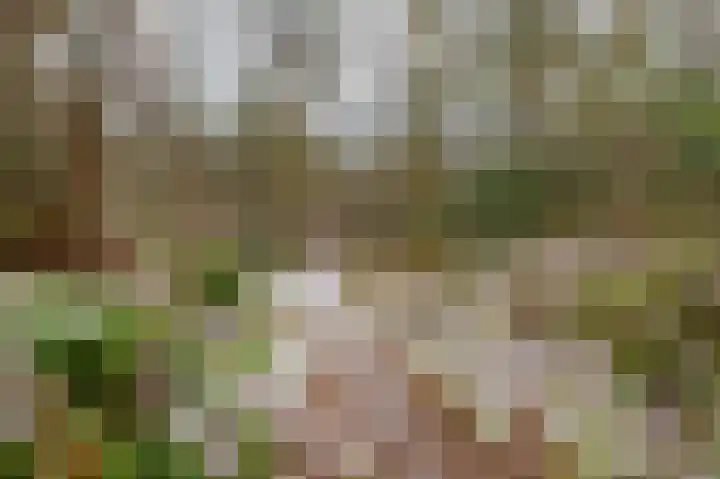 Hoogte der Heide 10 5 Gasselte thumbnail 61