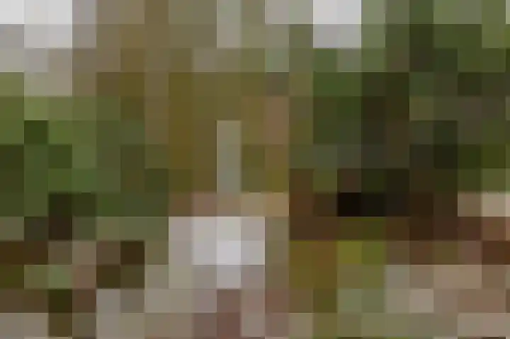 Hoogte der Heide 10 5 Gasselte thumbnail 62