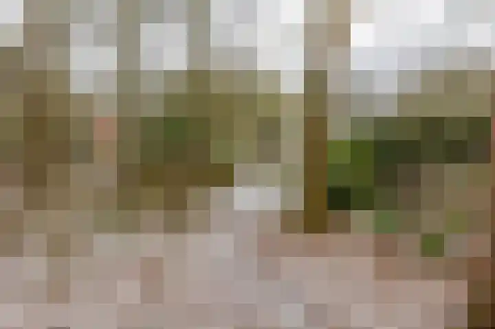 Hoogte der Heide 10 5 Gasselte thumbnail 63